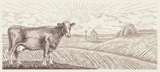 牛，映衬着一幅乡村风景。图片下载