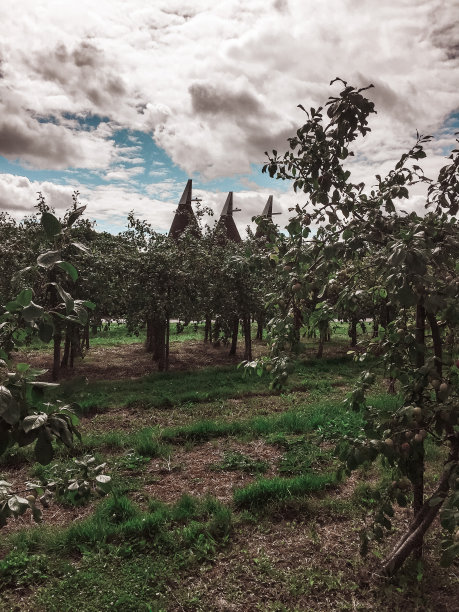 苹果园图片下载