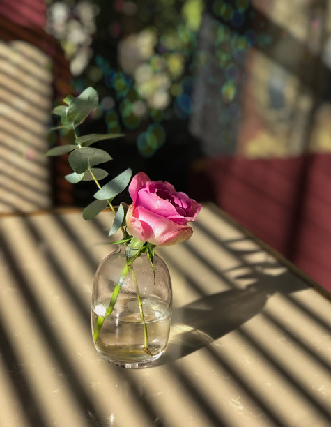 玻璃花图片下载