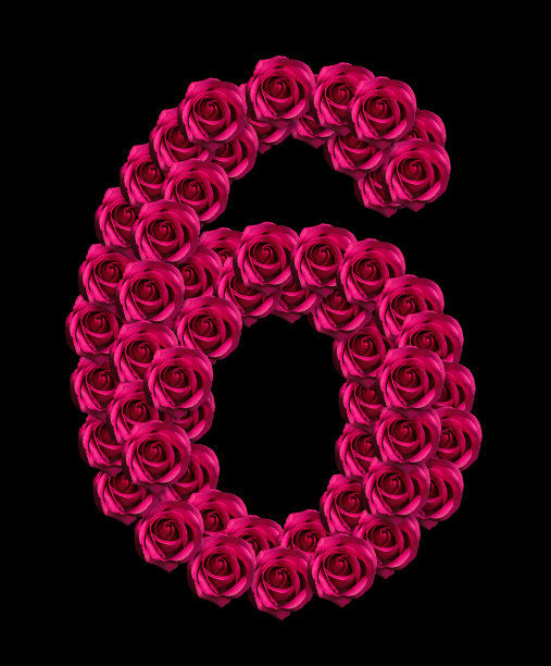 玫瑰6号图片下载