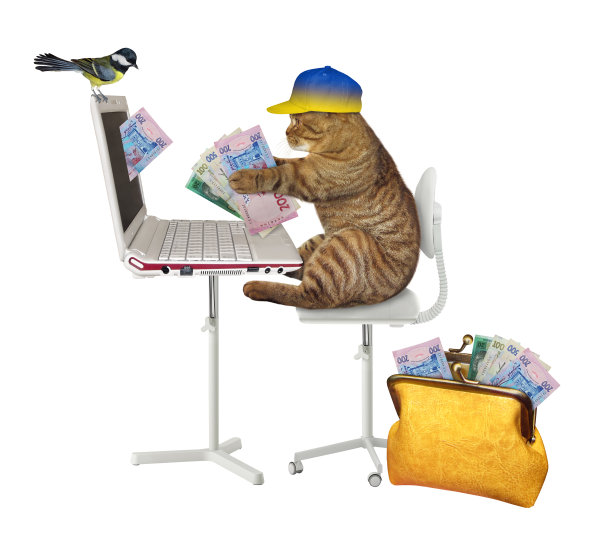 猫从笔记本电脑2赚取格里夫尼亚图片下载