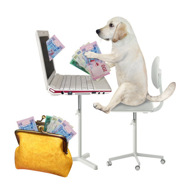 狗从笔记本电脑2中获得格里夫尼亚图片下载