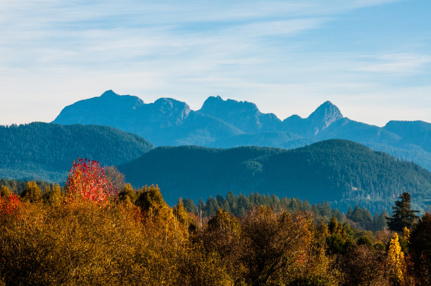 金耳山图片下载