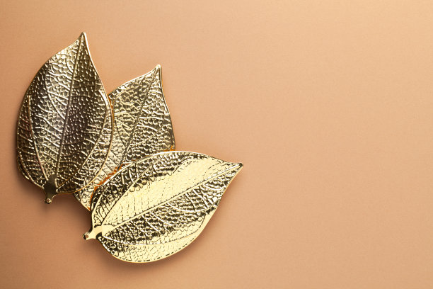 三片金叶的秋季简约概念图片下载