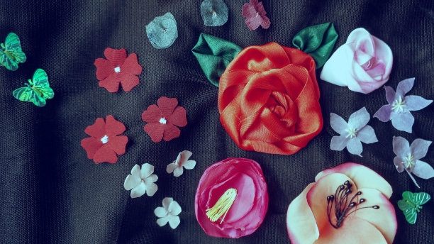 花园的花图片下载