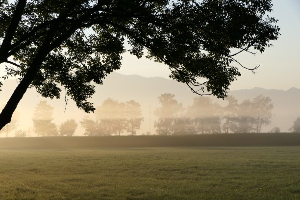 景观场景与剪影的树和游戏的光和影子在阳光照耀下图片下载