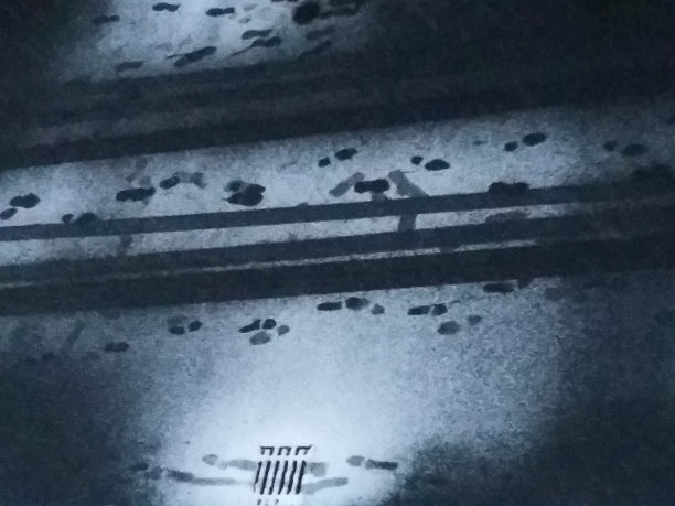 轨道在雪-高角度视图图片下载