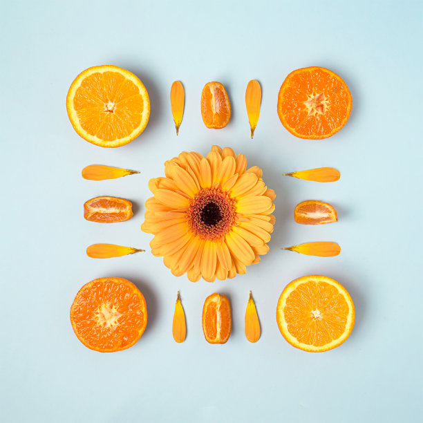 橙色的热带水果和雏菊花整齐地排成方形图片下载