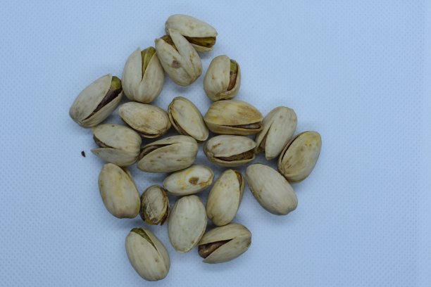 开心果图片下载