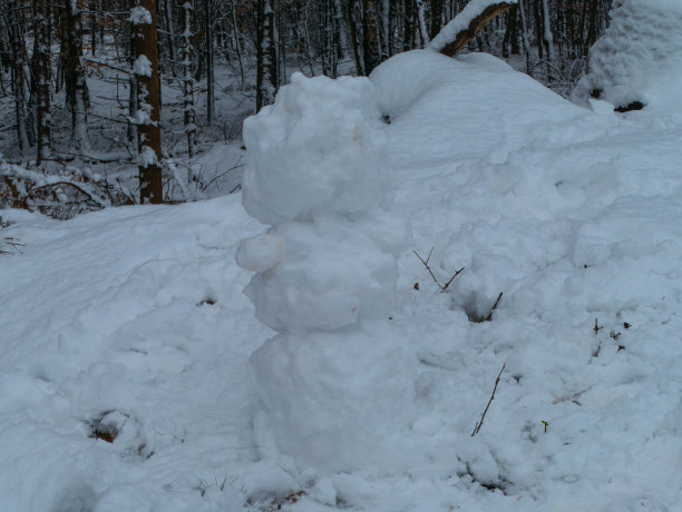 雪人在森林图片下载