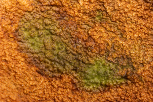 燃烧油脂剩余油脂在平底锅微距拍摄气泡顶视图图片下载