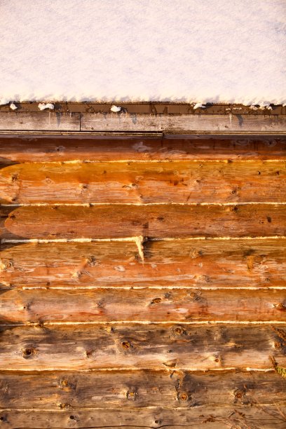 木制的木屋墙壁由北极松树近距离拍摄图片下载