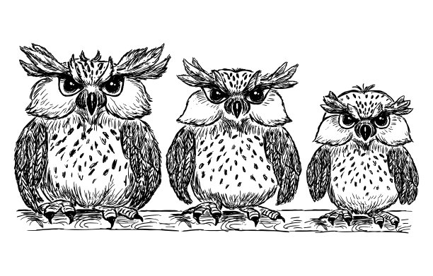 矢量画的一个有趣的卡通猫头鹰家庭图片下载