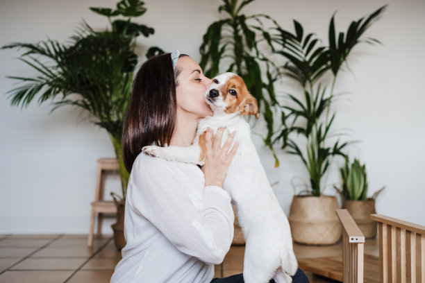 快乐的女人和狗在组装家具工作后在家放松。DIY的概念。女人接吻的狗。图片下载