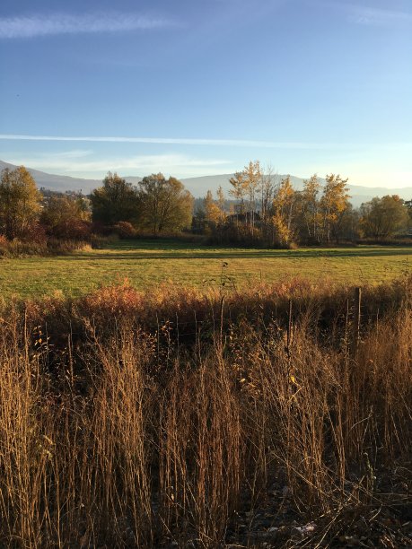草地上的小溪在秋天的库存照片图片下载