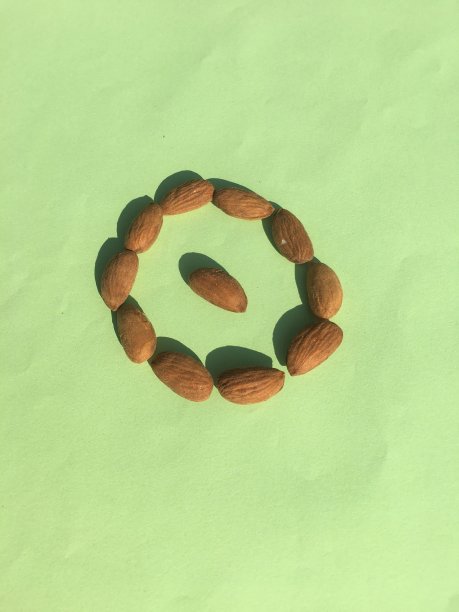 杏仁花图片下载