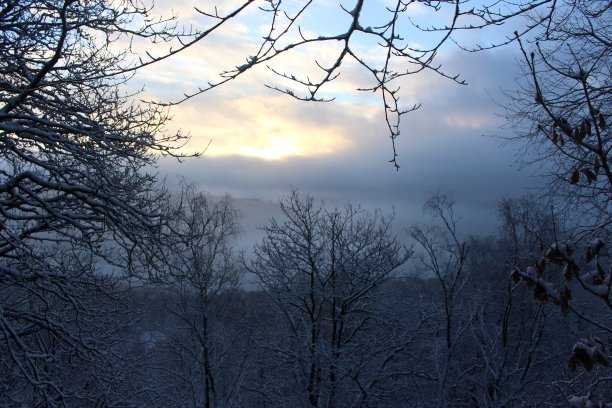这是一张美丽的冬季森林景观的照片，在大雪后，清晨与生机勃勃的日出图片下载