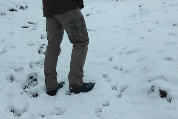 一名男子在大雪后的冬季林地景观徒步旅行的下半身照片图片下载