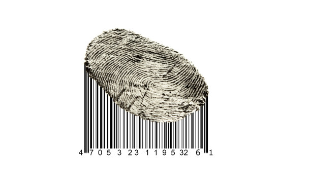 人类拇指指纹隔离在白色带条形码的指纹上。图片下载