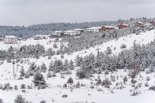 别墅，山上的松树和雪图片下载