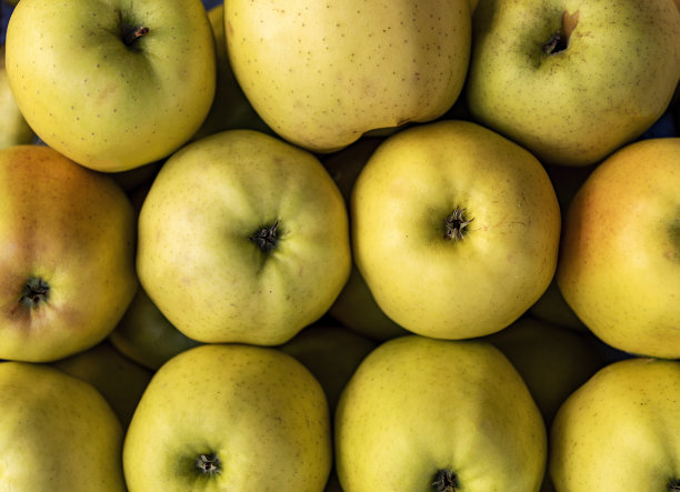 西班牙巴塞罗那(加泰罗尼亚)的La Boqueria市场的有机绿苹果图片下载