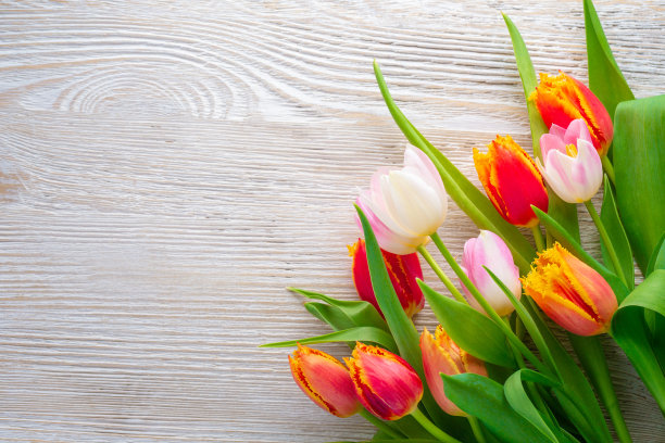 木桌上放着一束郁金香。春假概念背景。素材图片