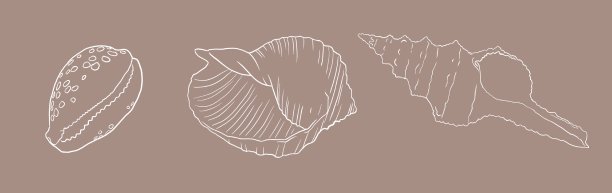 图案贝壳的背景。高质量的水彩插图。船舶设计图片下载