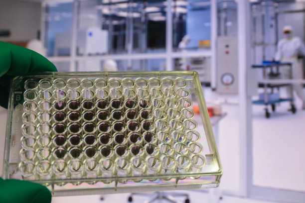 科学的生物研究。图片下载