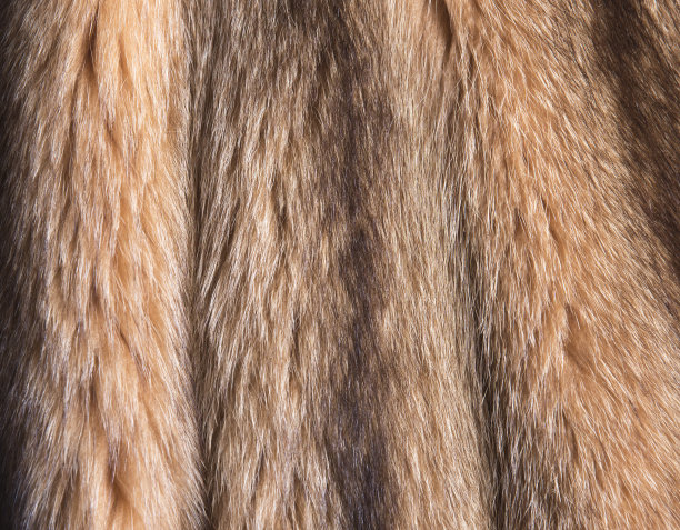 棕色和黑色的天然毛皮为背景纹理设计，橙色动物落图片下载