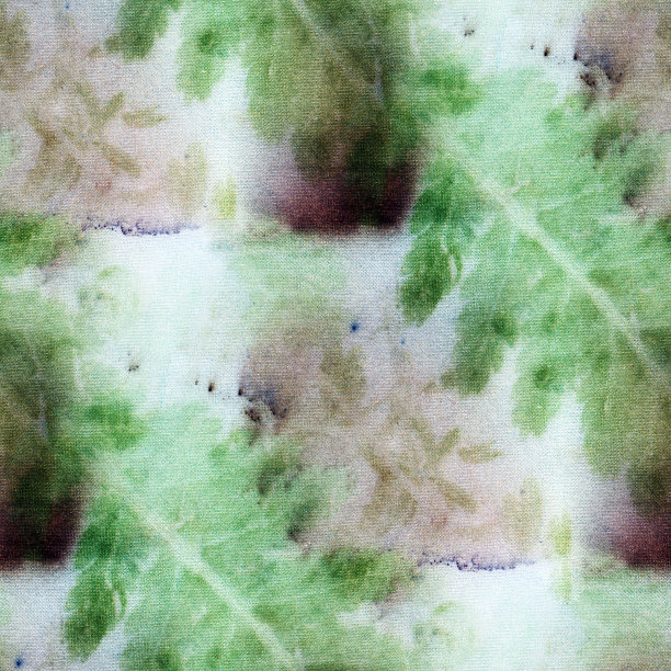 植物打印图片下载