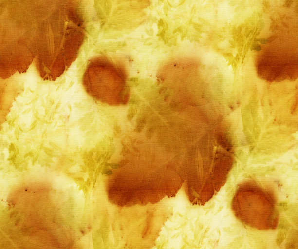 植物打印图片下载