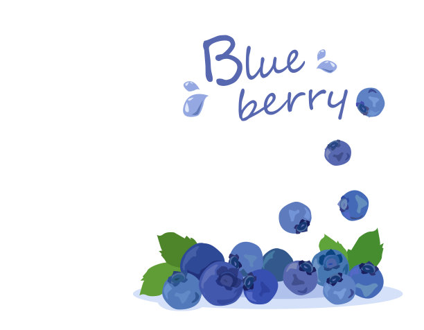 蓝莓载体孤立在白色背景。图片下载