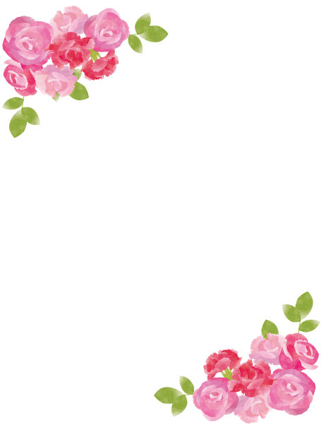 框架与粉红色的玫瑰和康乃馨图片下载