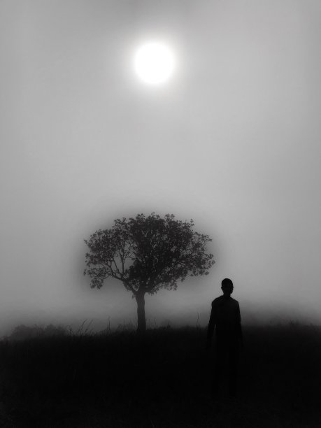 生活和人类图片下载