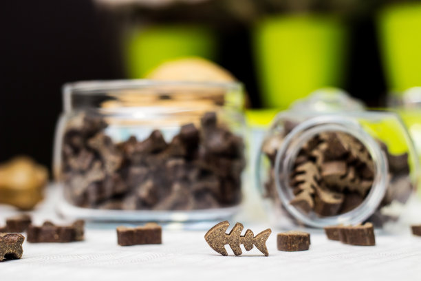 狗粮和饼干图片下载