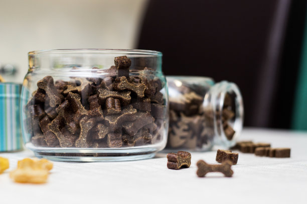 狗粮和饼干图片下载