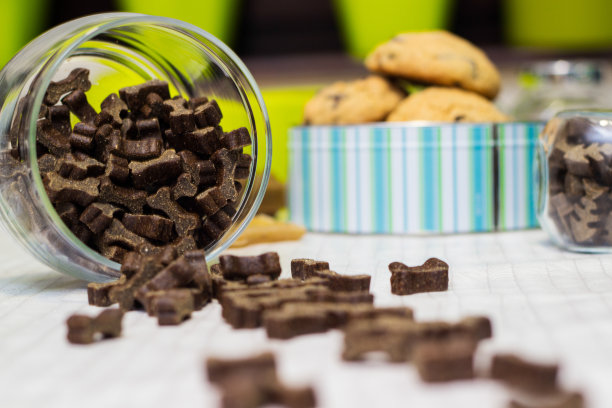 狗粮和饼干图片下载