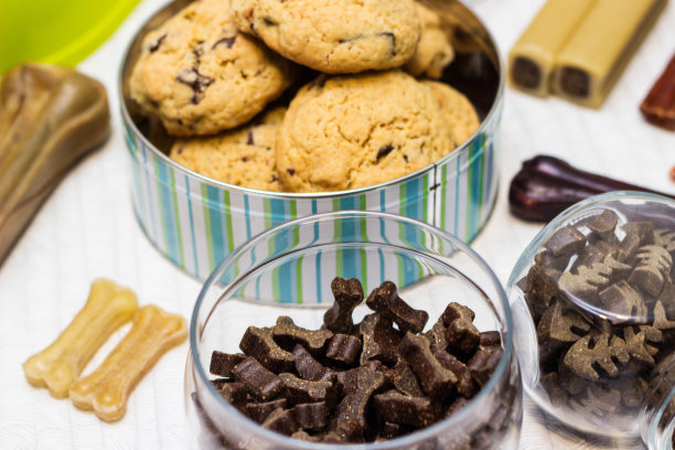 狗粮和饼干图片下载