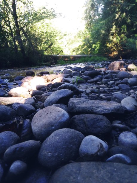 小溪旁的一条岩石小径图片下载