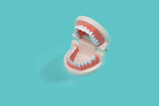 人类牙齿模型，颌骨铸造孤立在蓝色背景上。大白鲨的牙齿。牙科图片下载