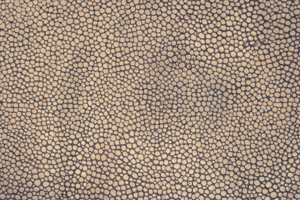 皮革棕色背景，皮革材质纹理照片。图片下载