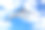Tursiops截断海洋或海洋宽吻海豚。3d渲染图片下载