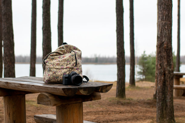 森林。背包。一个相机。树。旅游度假。从事野生动物摄影师的工作。在拍摄图片下载