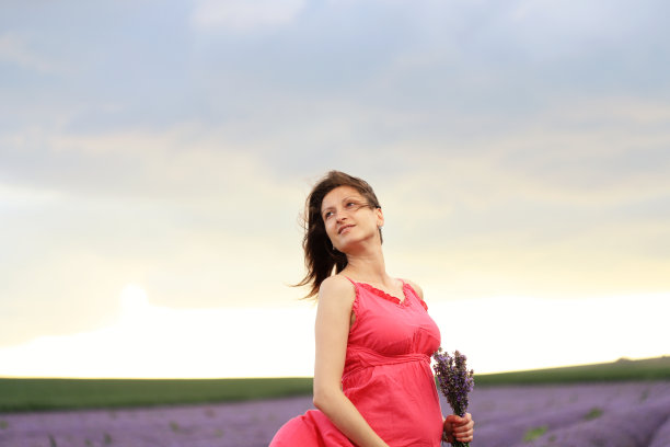 薰衣草地里的孕妇图片下载