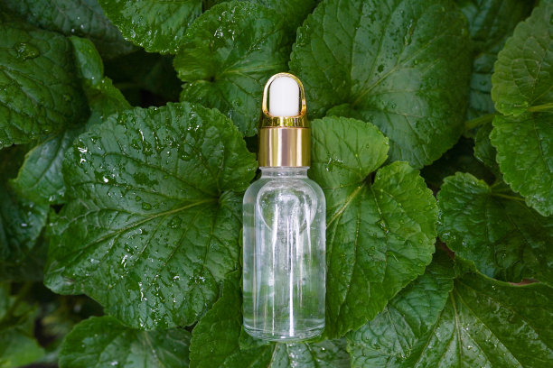 精油躺在绿色的自然叶子上图片下载