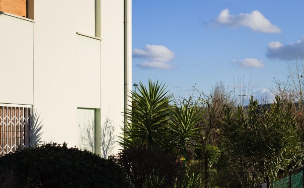在多云的天空背景下，住宅区花园中的绿色观赏植物(意大利，欧洲)图片下载