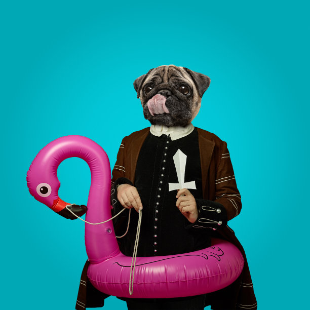 模特就像中世纪的皇室人物，穿着复古服装，头戴狗头。比较时代、艺术品、文艺复兴、巴洛克风格的概念。创造性的拼贴画。图片下载