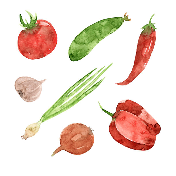 一套蔬菜的水彩画孤立在白色的背景。西红柿，黄瓜，红辣椒和甜辣椒，大蒜，洋葱。菜园里的农产品。图片下载