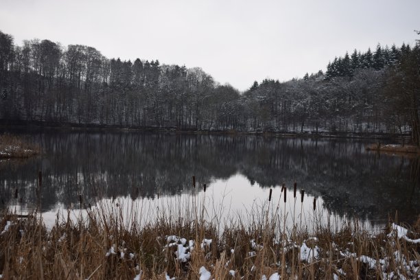 在冬天镜子平静的Holzmaar图片下载