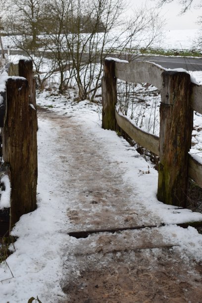 雪桥滑图片下载